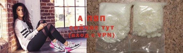 ПСИЛОЦИБИНОВЫЕ ГРИБЫ Горно-Алтайск