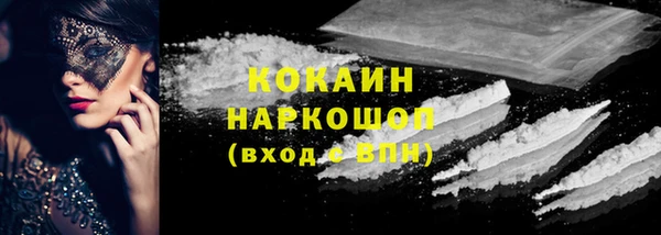 ПСИЛОЦИБИНОВЫЕ ГРИБЫ Горно-Алтайск