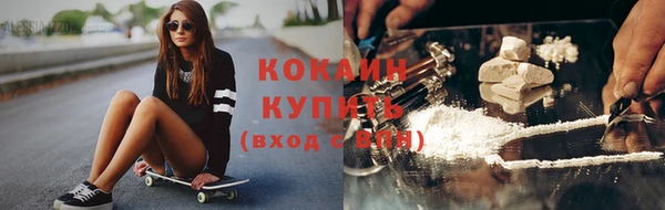 ПСИЛОЦИБИНОВЫЕ ГРИБЫ Горно-Алтайск
