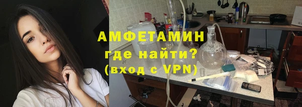 индика Горнозаводск
