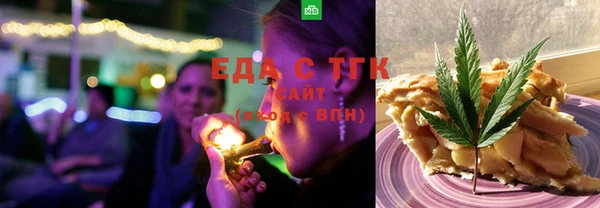 индика Горнозаводск
