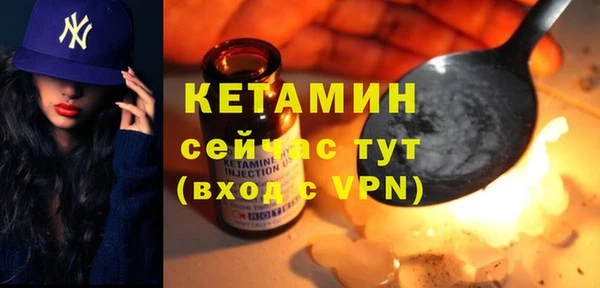 индика Горнозаводск