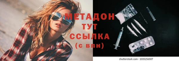 ПСИЛОЦИБИНОВЫЕ ГРИБЫ Горно-Алтайск