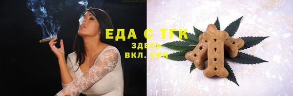 индика Горнозаводск