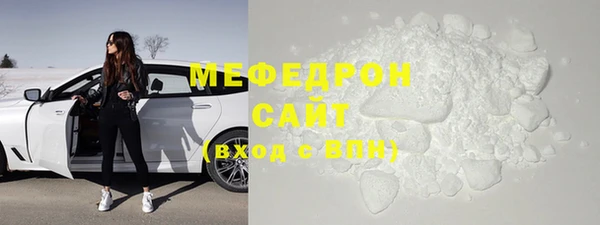 индика Горнозаводск
