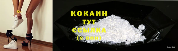 индика Горнозаводск