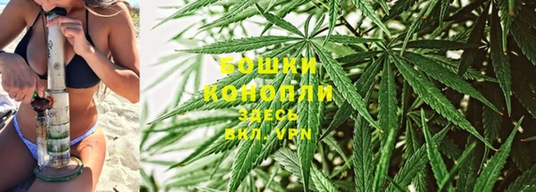 ПСИЛОЦИБИНОВЫЕ ГРИБЫ Горно-Алтайск