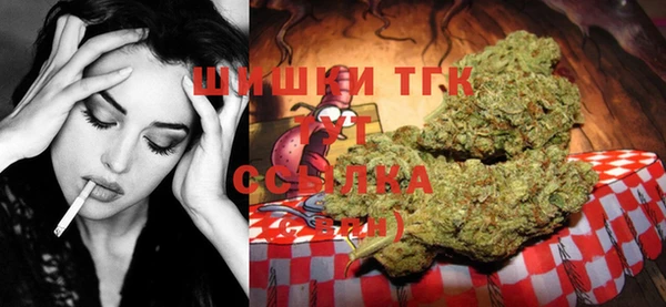 индика Горнозаводск