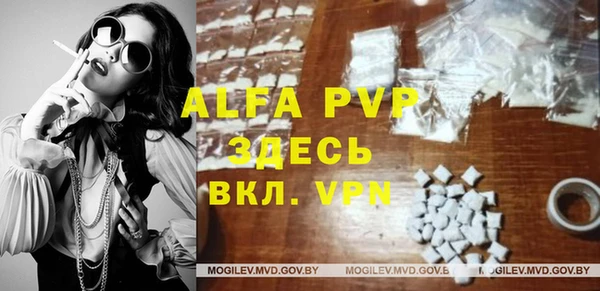 ПСИЛОЦИБИНОВЫЕ ГРИБЫ Горно-Алтайск
