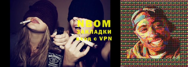 индика Горнозаводск