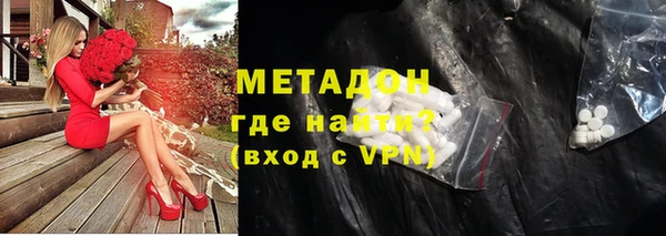 индика Горнозаводск